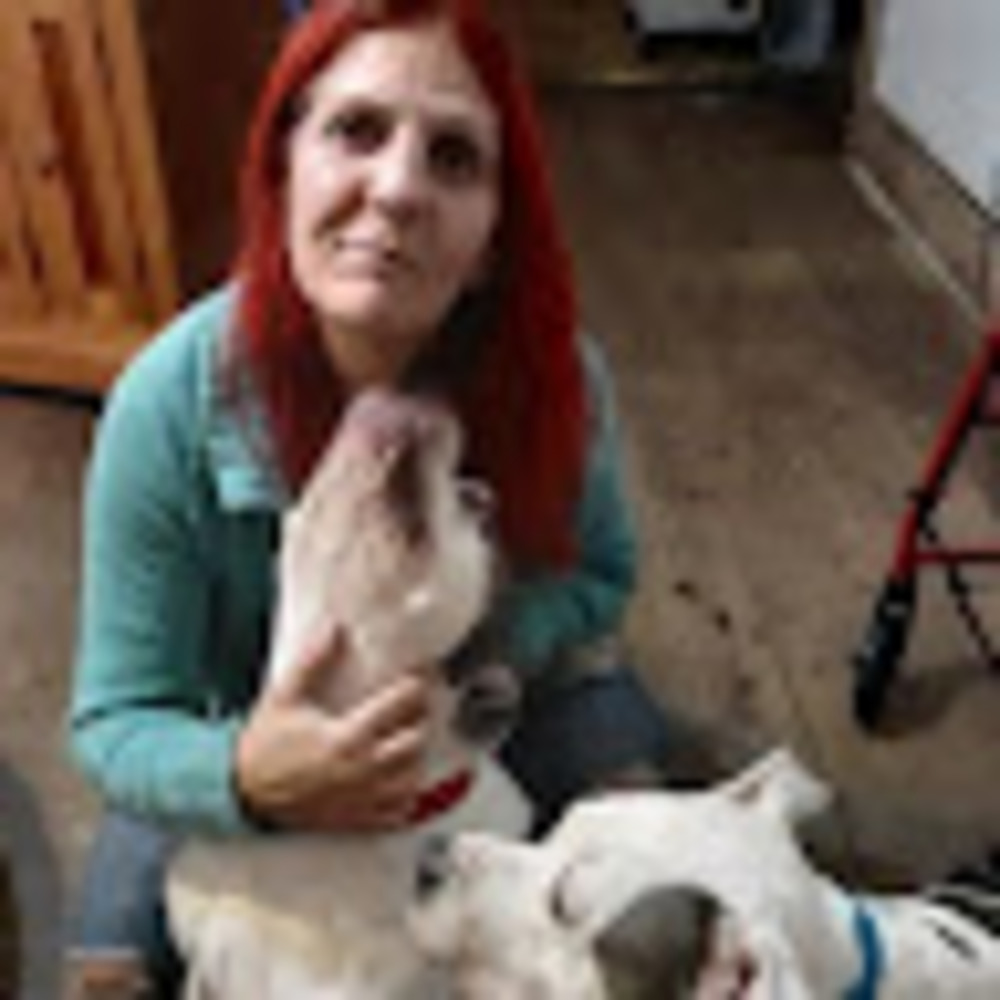 Meet your Posher, Carol